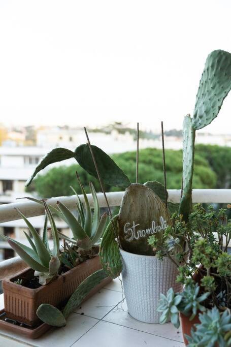 Casa 'ttaja - Mediterranean Eco-apartment Lejlighed Rom
